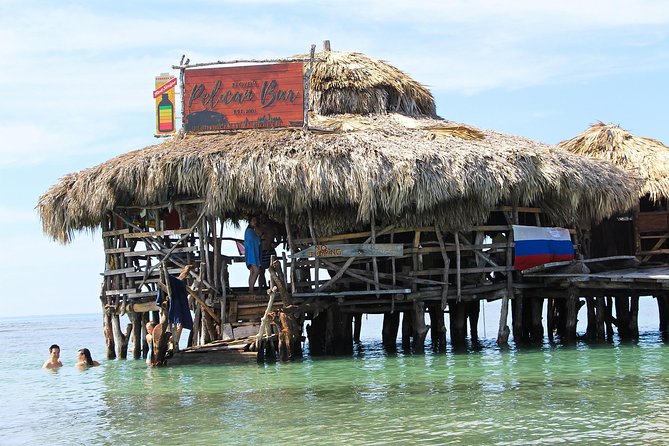 YS Falls, Black River Safari, and Floyds Pelican Bar Day-Trip (Transportation) - Included Amenities