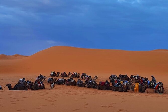 Zagora M'Hamid, 3 Days Tour to Erg Chigaga Desert From Marrakech - Customer Reviews