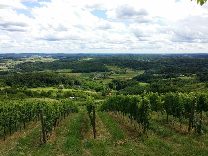 Zagreb: Fairytale Castle Day Trip With Wine Tasting & Lunch - Countryside Drive: Vineyards and Woodlands