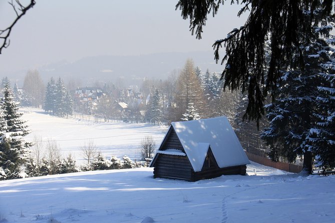 Zakopane Private Tour From Krakow With Thermal Baths - Exploring Krupowki Street