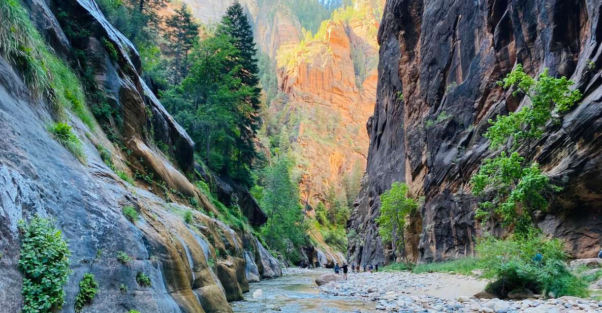 Zion Narrows - Guided Hike and Picnic - Tour Activities