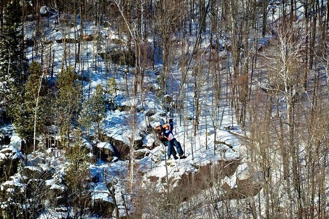 Ziplines and Hike Mont Tremblant (2h) - Zipline Descent Details