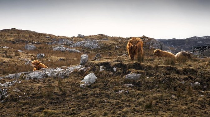 3-Day Hebrides Tour From Inverness: Isles of Lewis and Harris - Key Points