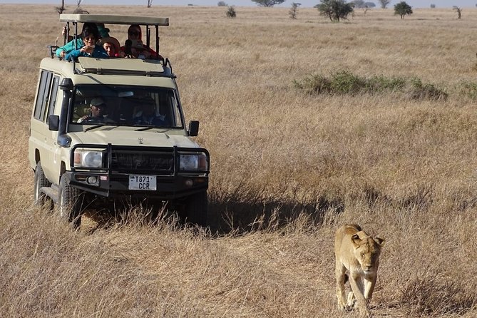 3-Day Maasai Mara Small Group Safari in a 4 X4 Land Cruiser Jeep - Key Points