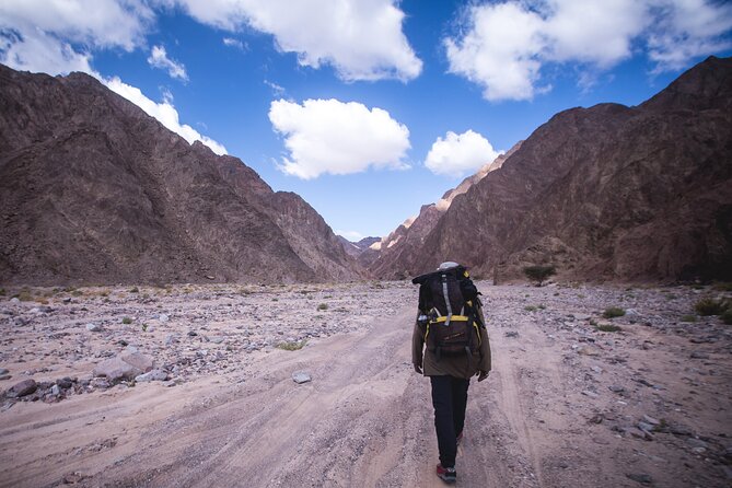 3-Day Small-Group Guided Hiking Expedition in the Sinai Desert - Key Points