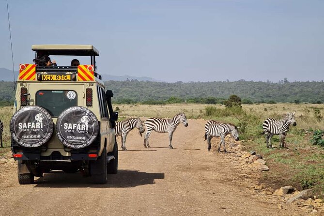 3 Days Best of Masaimara Wildlife Private Safari, Mid-Range Offer - Safari Overview