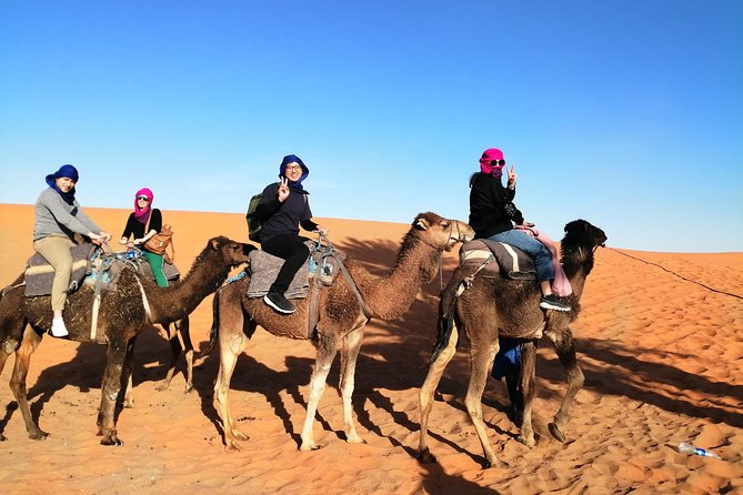 3 Days From Marrakech Merzouga Ends in Fez - Tour Overview