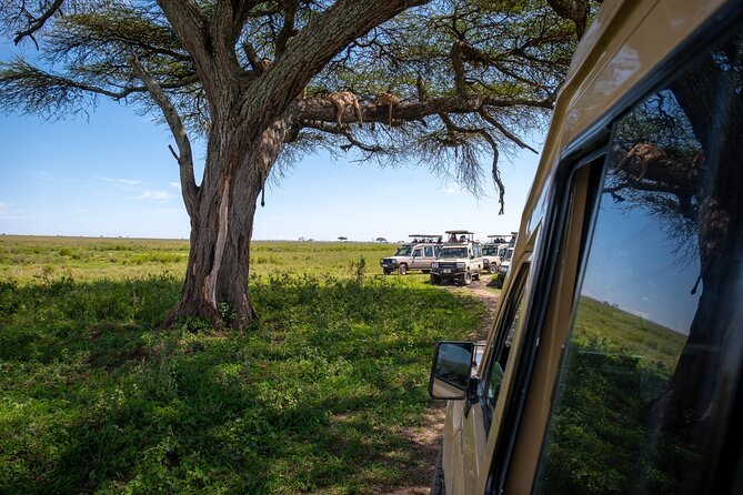 3 Days Serengeti & Ngorongoro Group - Key Points