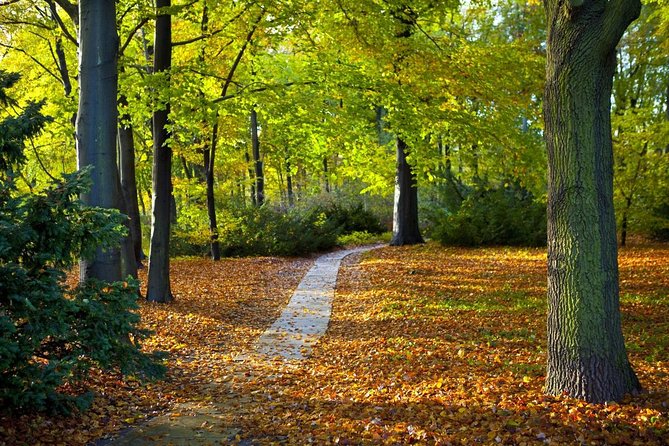 3-Hour Bike Tour of Tiergarten and Berlins Hidden Places - Key Points