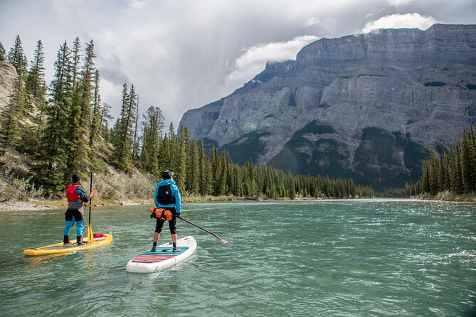 3 Hour River Stand Up Paddling In Canmore Key Points