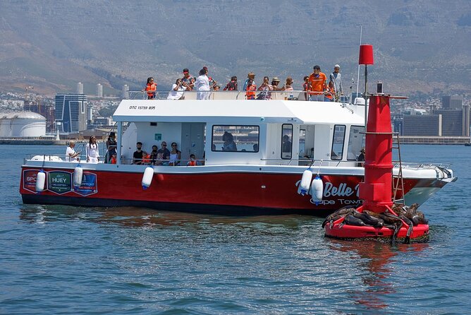 30min Harbour Boat Cruise Cape Town - Activity Overview