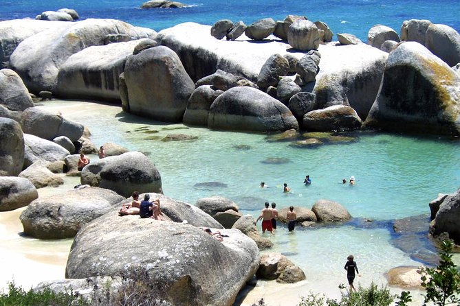 1 Day Cape Point Explore With Boulders Penguins Small Group Tour - Traveler Feedback and Ratings