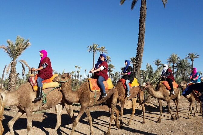 1-Hour Camel Ride and 1-Hour Quad Bike Ride in Marrakech. - Camel Ride Adventure