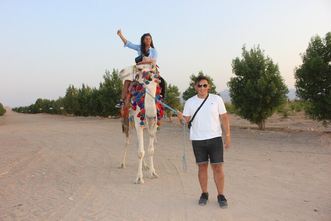 1 Hour Horse Ride and Jeep Adventure With Stargazing -Hurghada - Tour Schedule