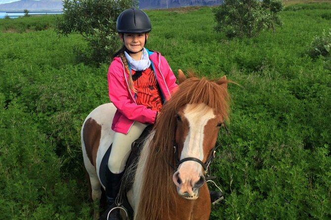 1+ Hour Private Horse Riding Tour From Reykjavík/Mosfellsbær - Requirements and Restrictions