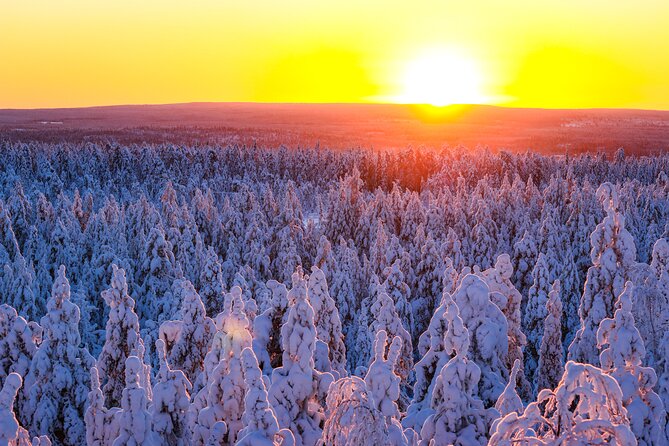 1-Hour Snowmobile Safari Adventure in Rovaniemi - What to Bring and Wear