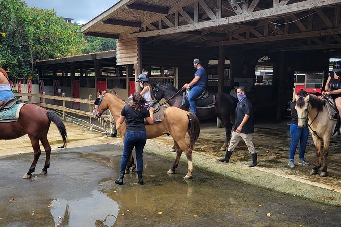 1 or 2 Hour Puerto Rico Horseback Ride Experience! - Important Considerations