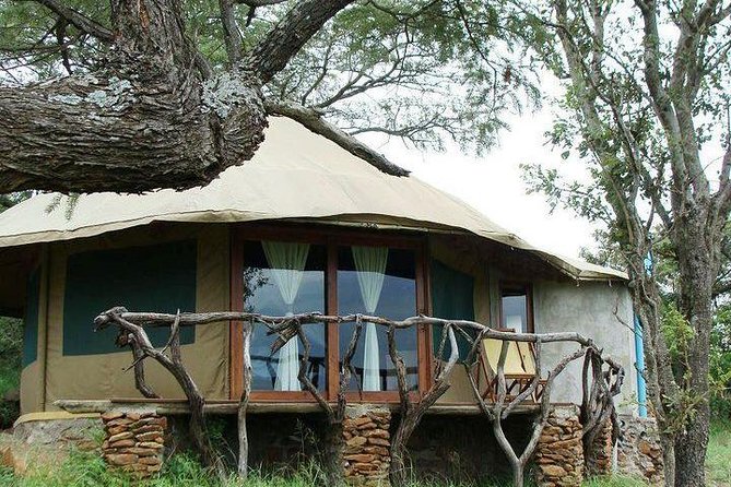 12 Days Kenya and Tanzania Safari Private Lodge From Nairobi - Exclusive Experience