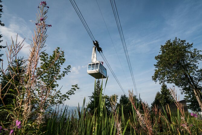 2-Day Mt Rigi Tour From Zurich Including Mineral Baths and Lake Lucerne Cruise - Rigi Kaltbad Mineral Baths