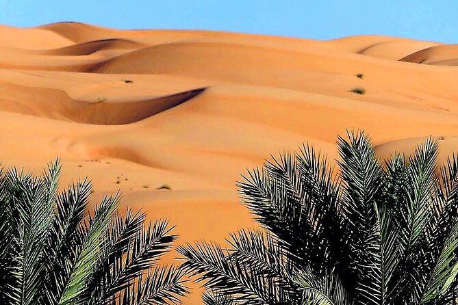 2-Day Private Wahiba Sands Desert Camping Tour From Muscat - Meeting and Pickup