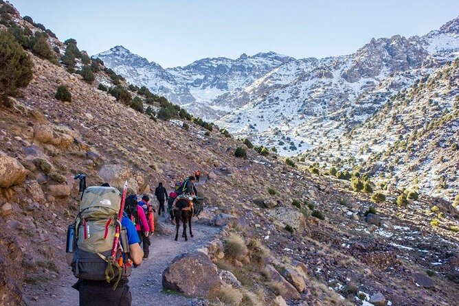 2-Day Toubkal Trek From Marrakech With Local Guide - Health and Accessibility Requirements