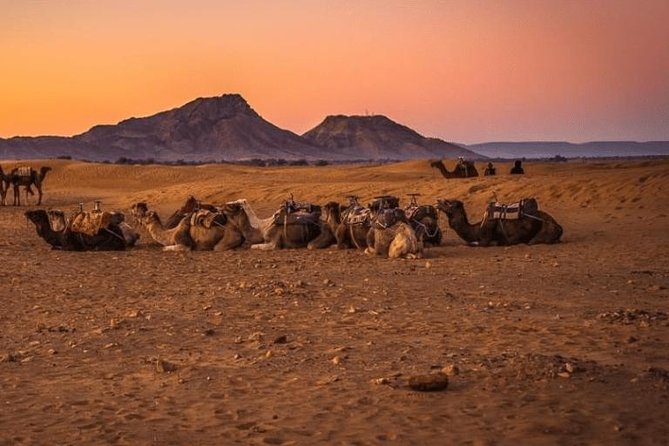 2 Days 1 Night Amazing Zagora Desert Tour From Marrakech - Itinerary and Destinations