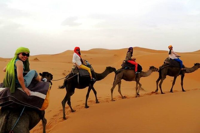 2 Days Sahara Group Tour Fez to Marrakech via Merzouga - Camel Trekking Experience