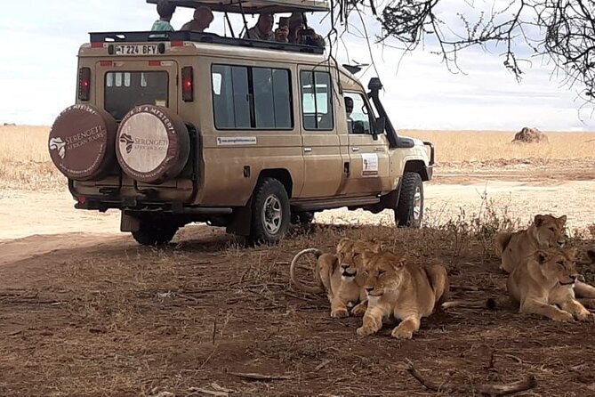 2 Days Tarangire & Ngorongoro Budget Safari Tour Tanzania - Health Considerations