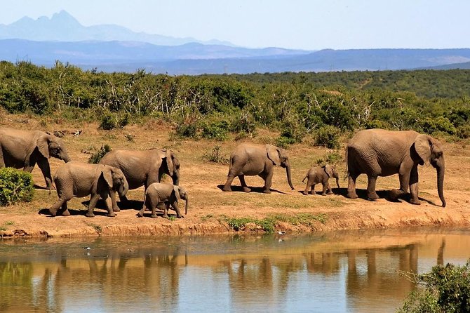 2 Days Tarangire & Ngorongoro Crater Safari Tour Tanzania - Marveling at Ngorongoro Crater