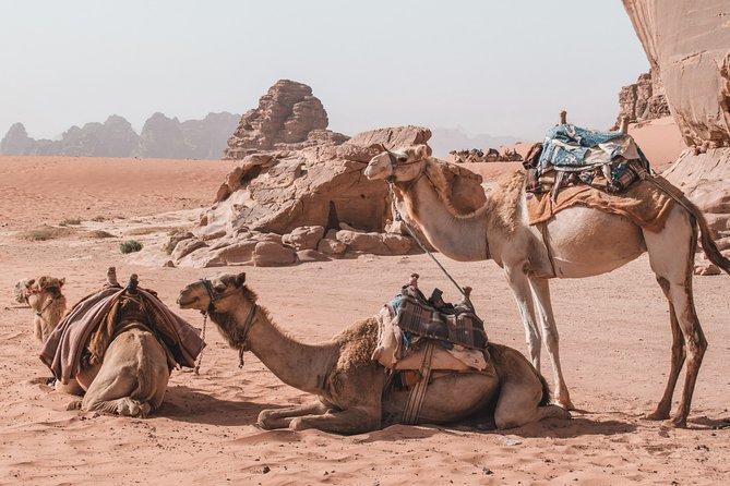 2 Days Tour | Petra, Wadi Rum & Dead Sea | Accommodation Included - Transportation Provided