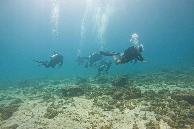 2 Dives for Certified Divers in Fujairah With BBQ Lunch - Participant Information