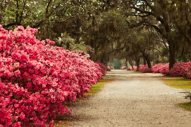 2-Hour Bonaventure Cemetery Walking Tour - Visitor Recommendations