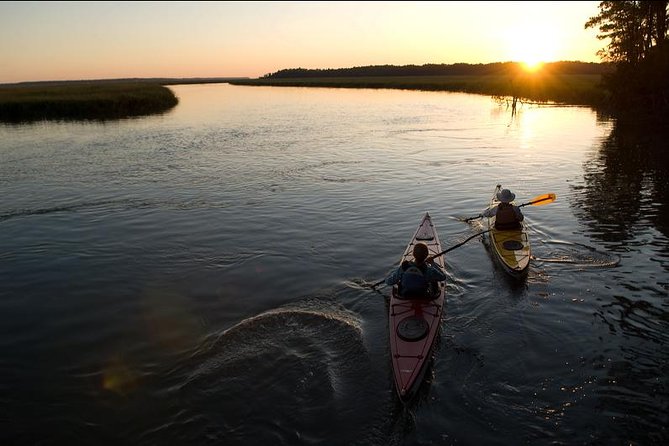 2-Hour Hilton Head Guided Kayak Nature Tour - Accessibility and Requirements