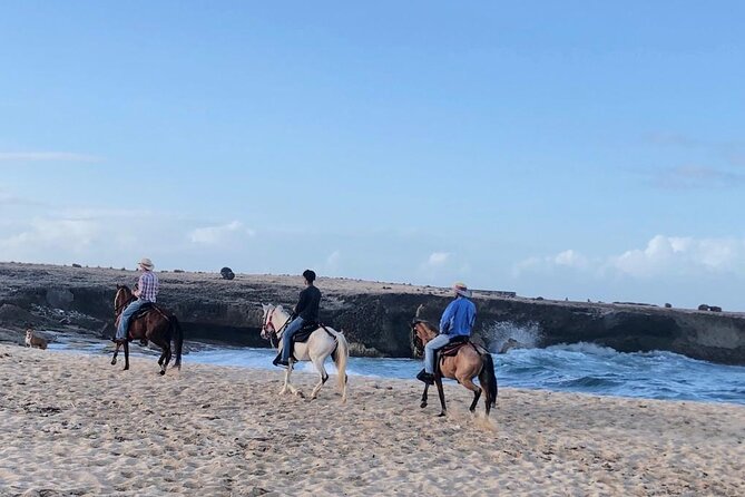 2-Hour Horseback Riding Tour to Little Natural Bridge in Aruba - Group Size Limit