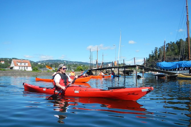 2- Hour Kayak Trip on the Oslo Fjord - Inclusions and Requirements