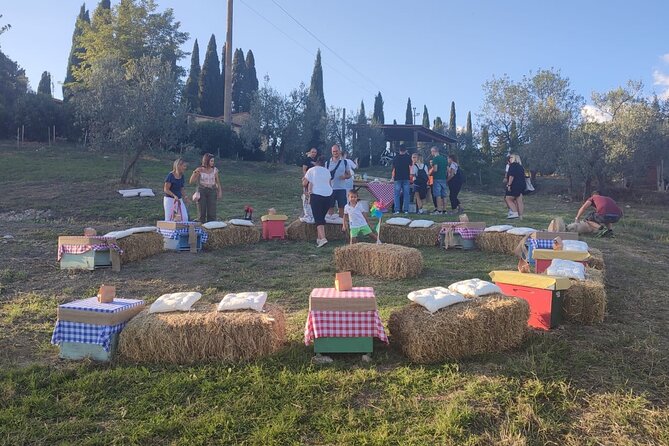 2-Hour Private Guided Activity Discovering Bees in Volterra - Exploring the Volterra Apiary