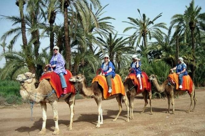 2-Hour Quad Bike & Camel Ride in Marrakech Palmeraie - Logistical Information