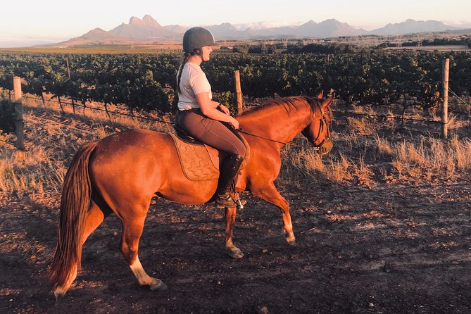 2 Hour Vineyard Trail Ride - Guided Adventure With Commentary