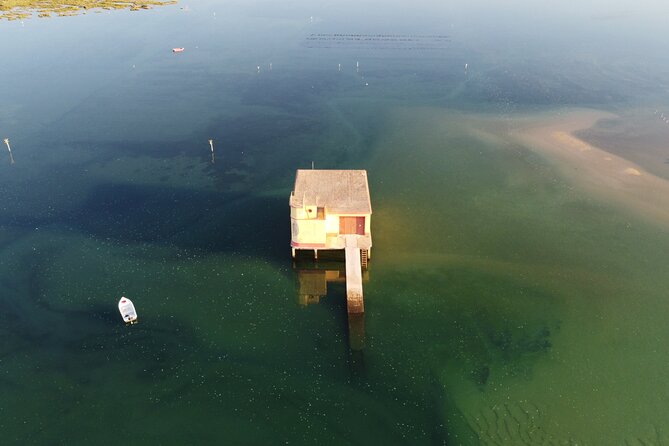 2 Hours Boat Tour in Ria Formosa - Traveler Reviews