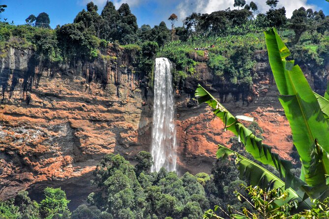 2 Sipi Falls Hike and Coffee Tour Experience - Coffee Tour and Cultivation