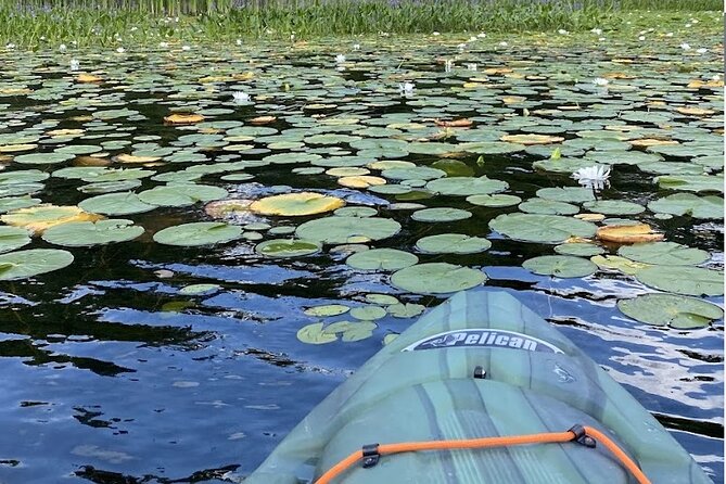 24-48 Hour Kayak Rental in Marmora, Ontario - Cancellation and Refund Policy