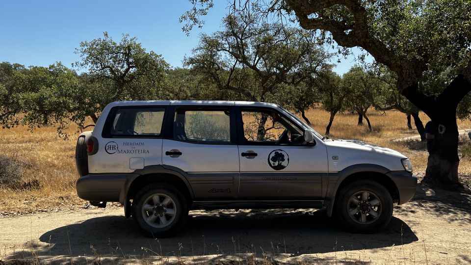 2hr Cork Tour in a 4x4 Jeep - Cork Production Process