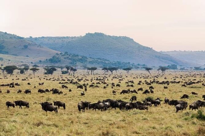 3 Day Essential 4x4 Safari: Manyara, Tarangire & Ngorongoro - Inclusions and Exclusions