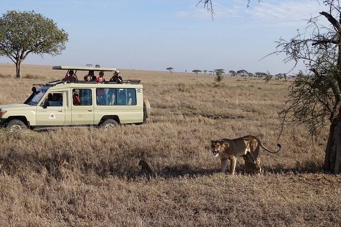 3-Day Maasai Mara Small Group Safari in a 4 X4 Land Cruiser Jeep - Activities and Inclusions