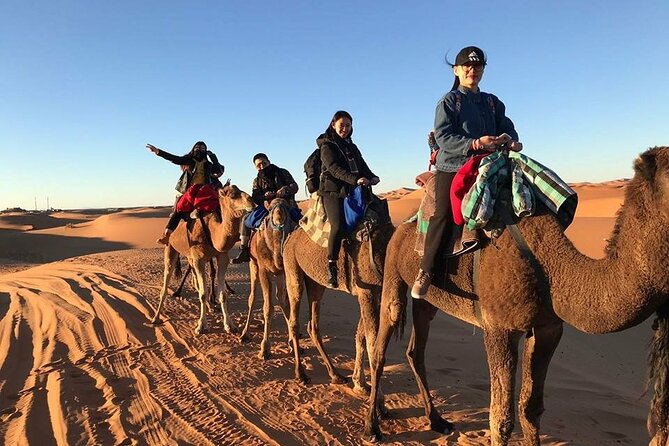 3-Day Sahara Desert To Merzouga From Marrakech - Transportation