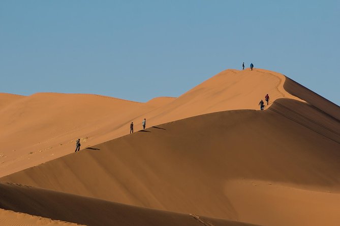 3-Day Sossusvlei Express Accommodated Safari From Swakopmund - Tracking Cheetahs With a Biologist