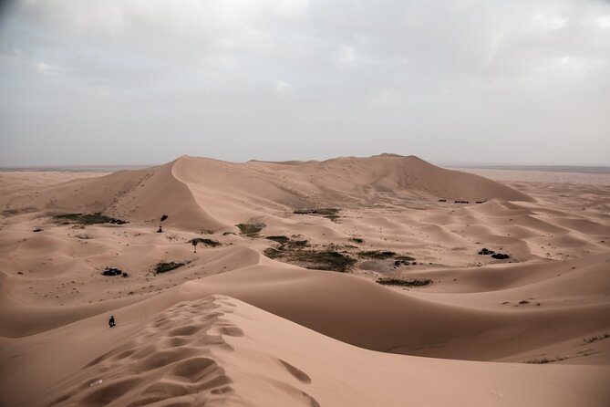 3 Days 2 Nights Desert Tour From Fes to Marrakech via Erg Chebbi - Professional Driver and Guide