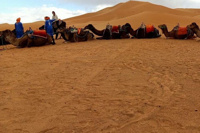 3 Days 2 Nights: Desert Tour From Fes to Marrakech - Day 1: Fes to Merzouga