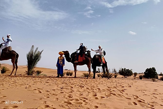 3 Days 2 Nights Private Tour From Marrakech to Fes via Sahara Desert - Transportation and Logistics