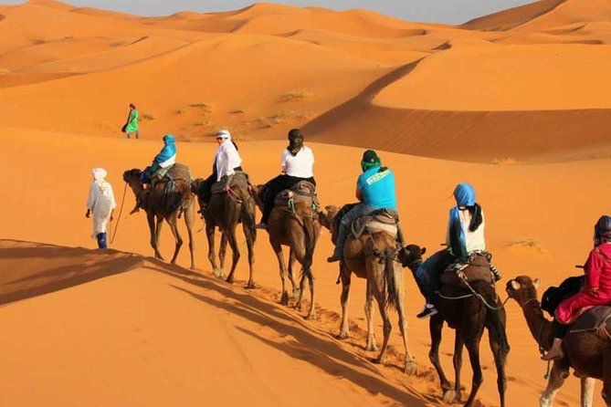 3 Days Desert Tour From Marrakech To Merzouga Dunes & Camel Trek - Pickup and Drop-off Logistics